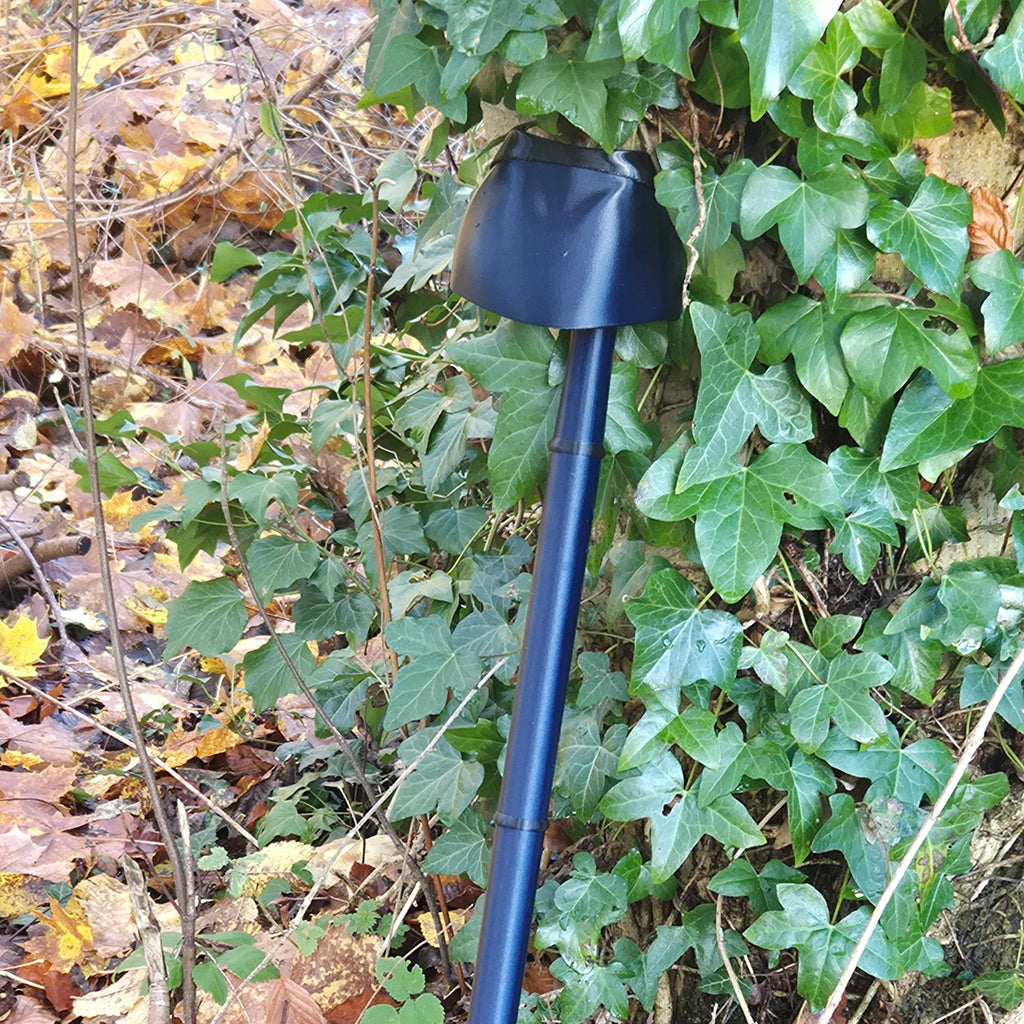 Navy walking stick on forrest floor