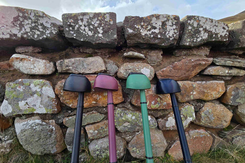 The Essentials Collection