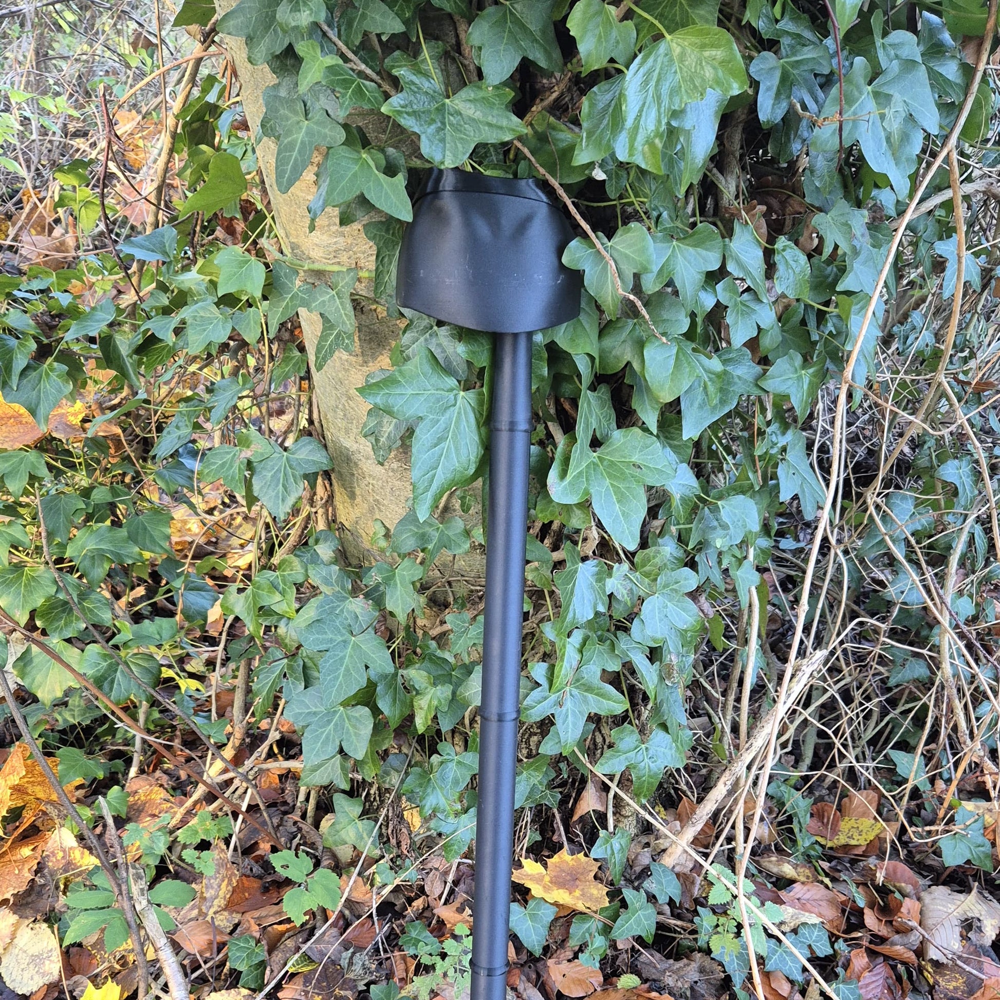 The Essentials Collection